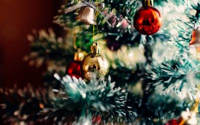 12 Tips of Christmas Safety