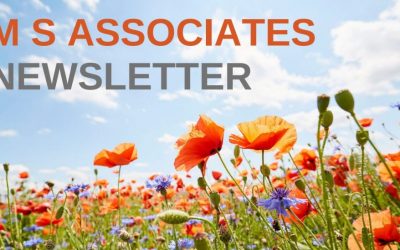 Summer Newsletter 2020