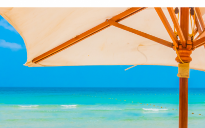 Summer Newsletter 2021