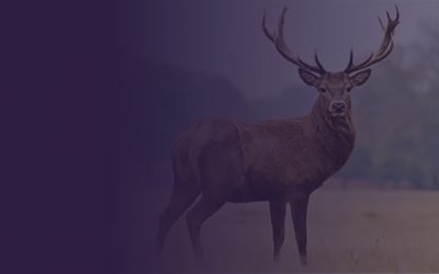 Winter Newsletter 2022