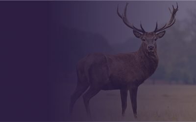 Winter Newsletter 2023